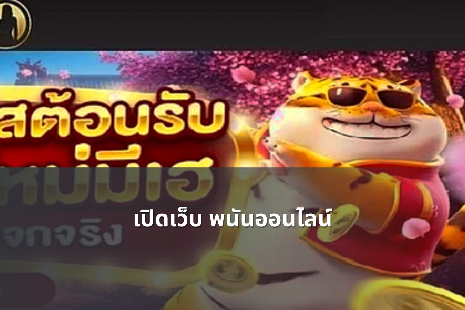 เปิดเว็บ พนันออนไลน์ - opening an online gambling website