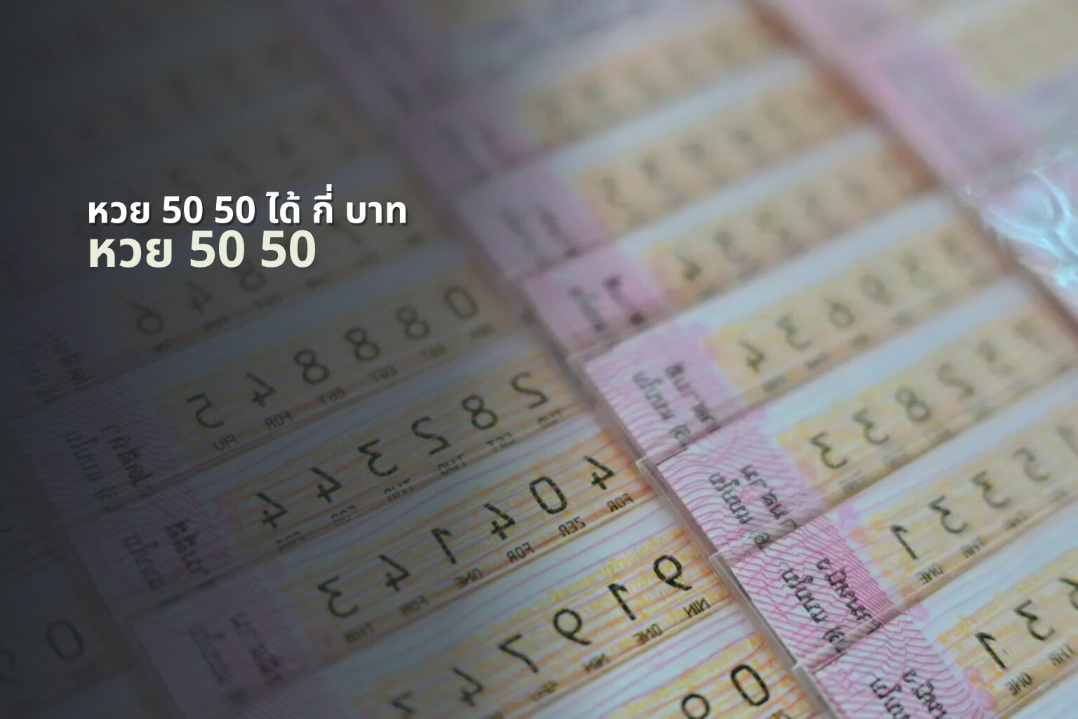 หวย 50 50 ได้ กี่ บาท หวย 50 50
