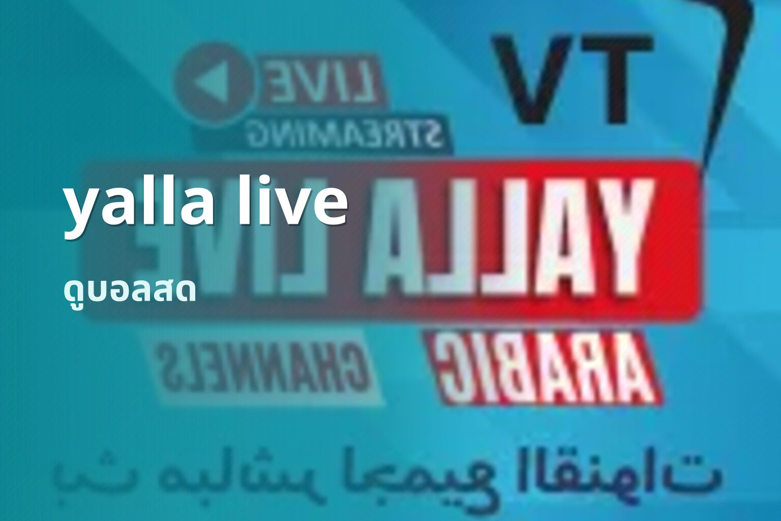 yalla live ดูบอลสด