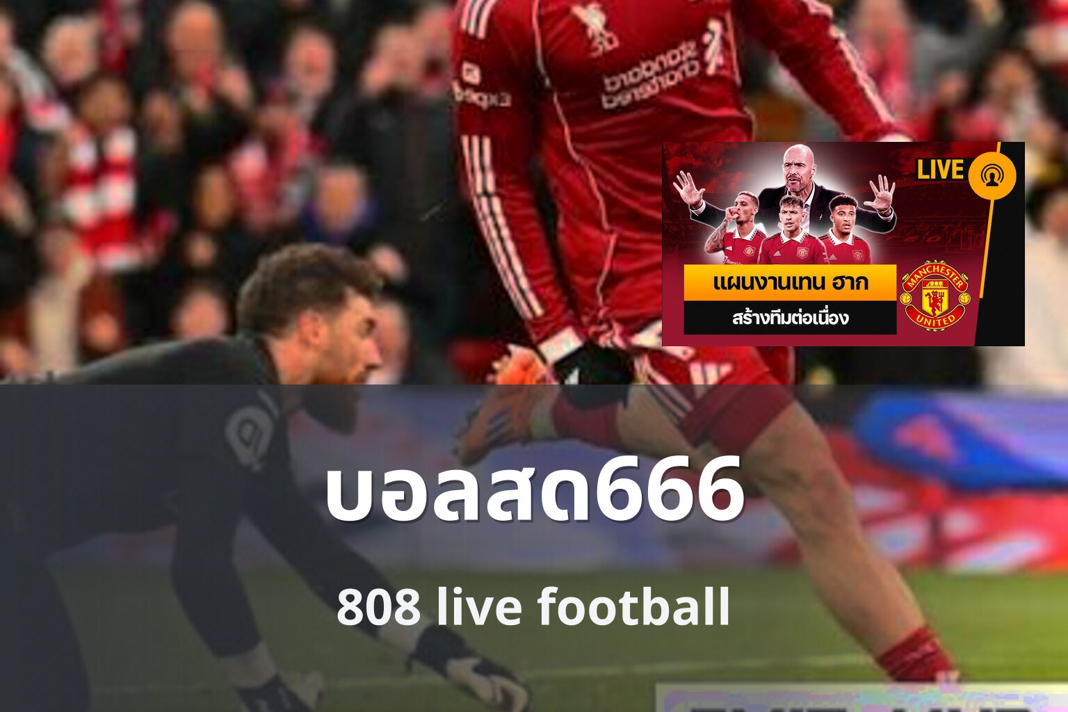 บอลสด666 808 live football