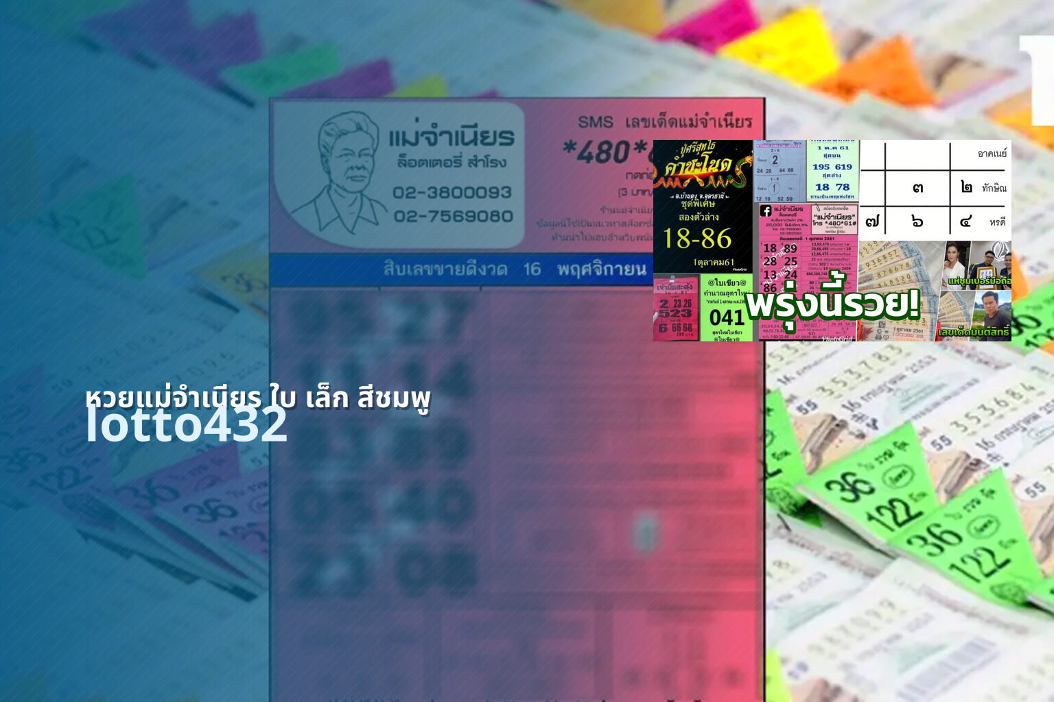 หวยแม่จำเนียร ใบ เล็ก สีชมพู lotto432