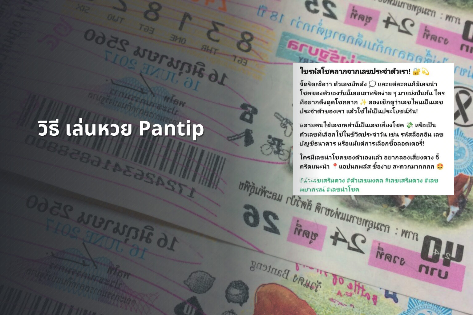 วิธี เล่นหวย Pantip - lottery discussions