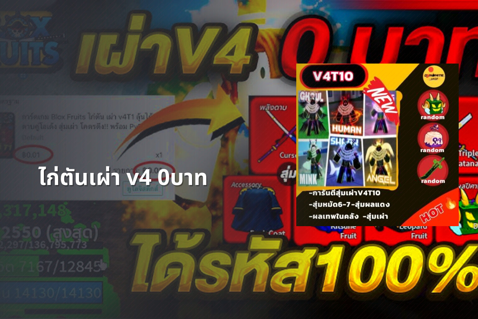 ไก่ตันเผ่า v4 0บาท - gaming offers