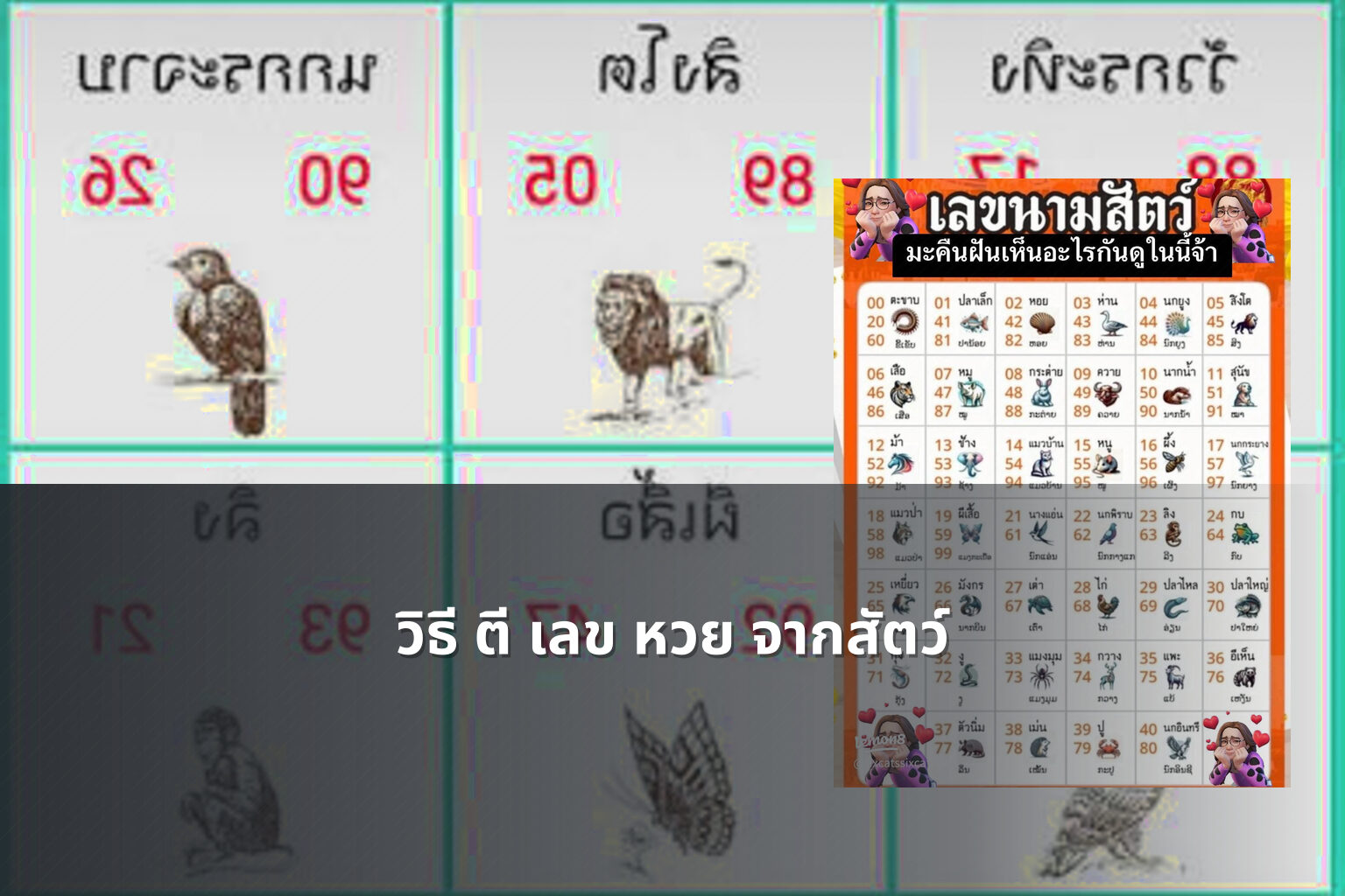 วิธี ตี เลข หวย จากสัตว์ - หวย