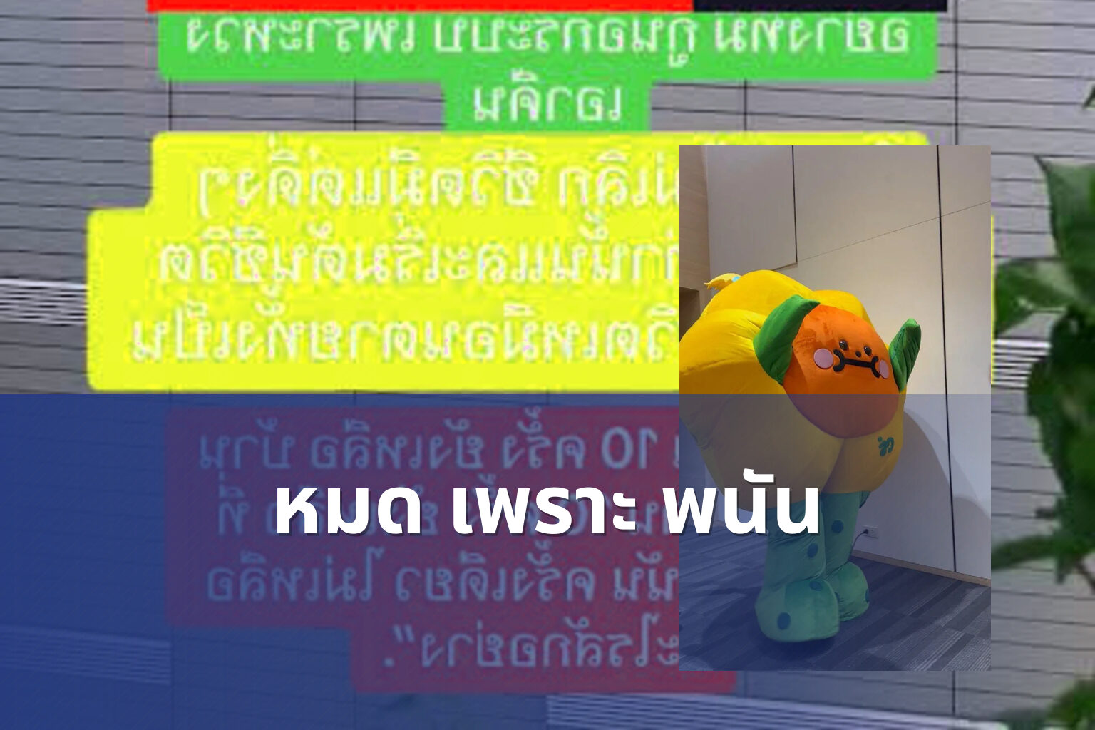 หมด เพราะ พนัน - การพนัน
