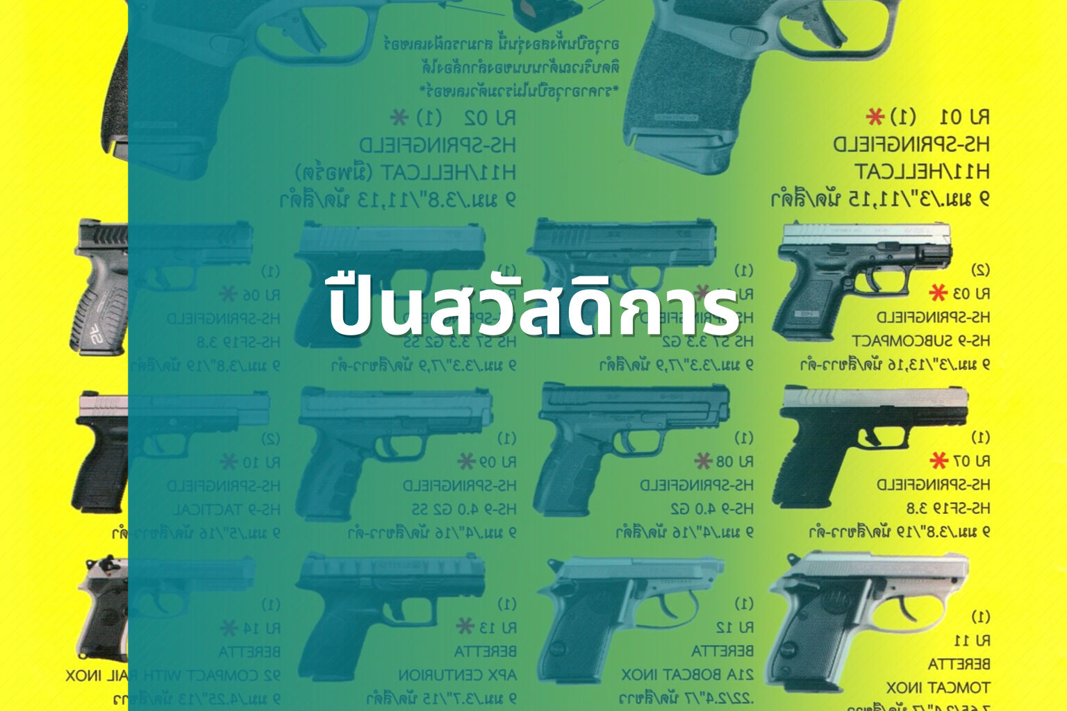 ปืนสวัสดิการ - government benefits