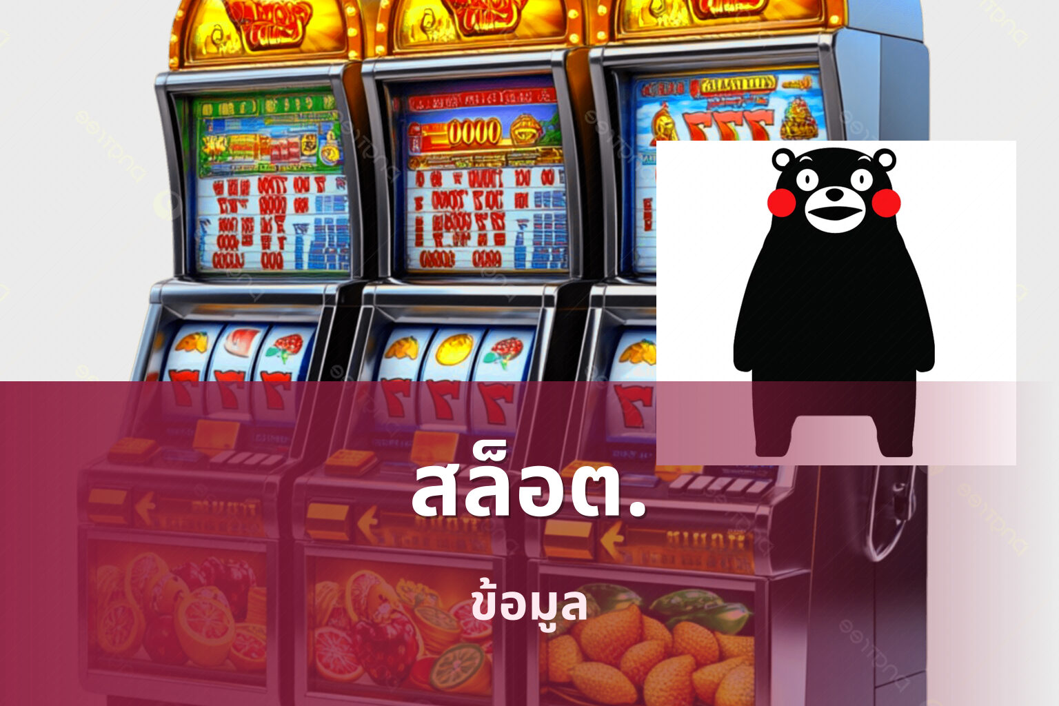 สล็อต. ข้อมูล