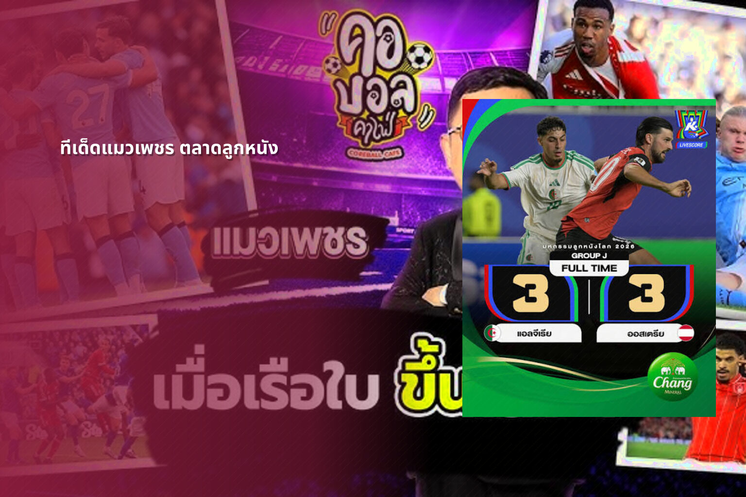 ทีเด็ดแมวเพชร ตลาดลูกหนัง - sports predictions