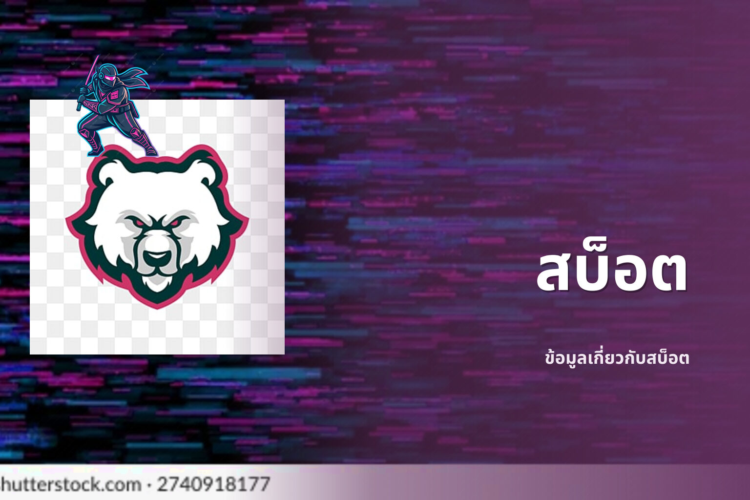 สบ็อต ข้อมูลเกี่ยวกับสบ็อต