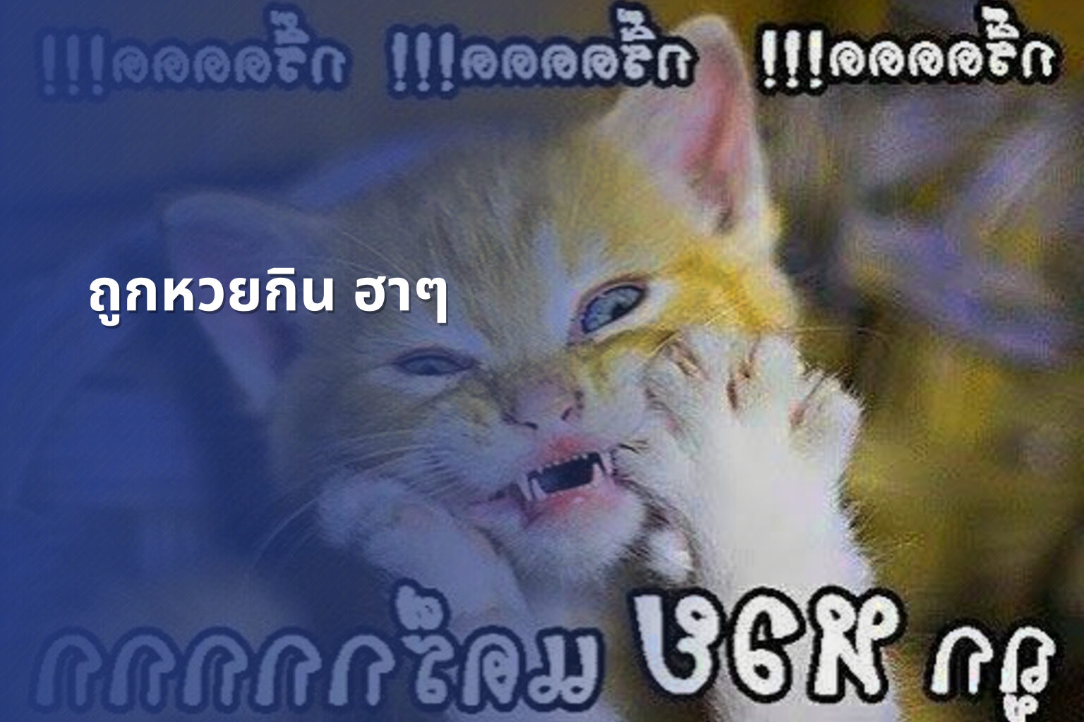 ถูกหวยกิน ฮาๆ - หวย