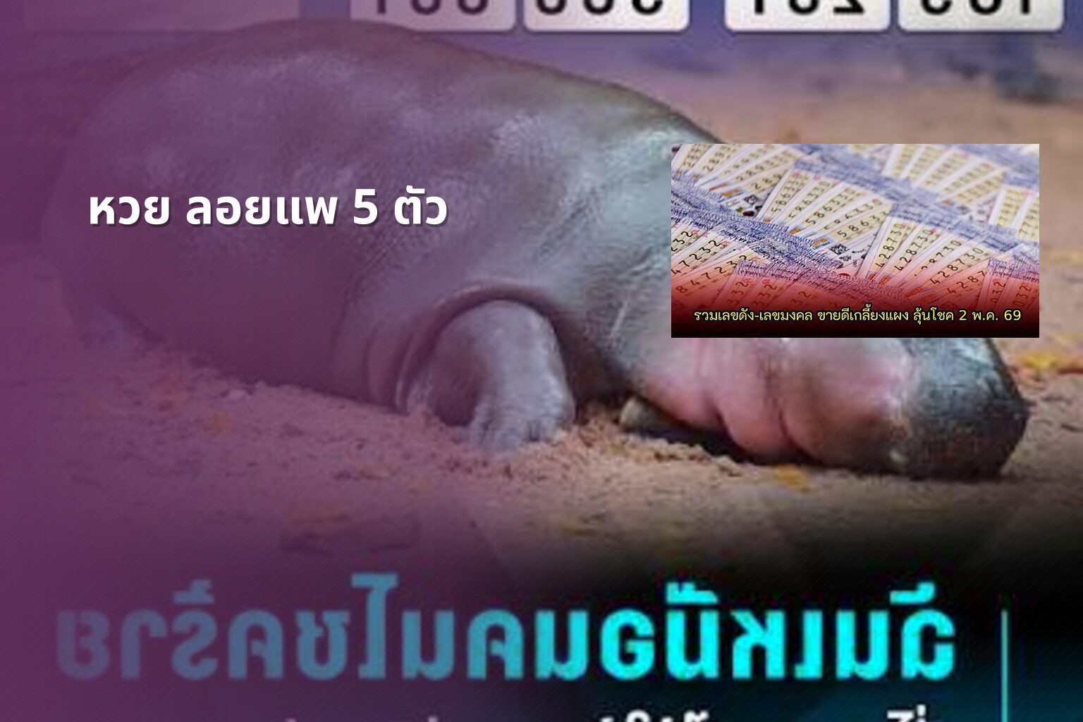 หวย ลอยแพ 5 ตัว - หวย