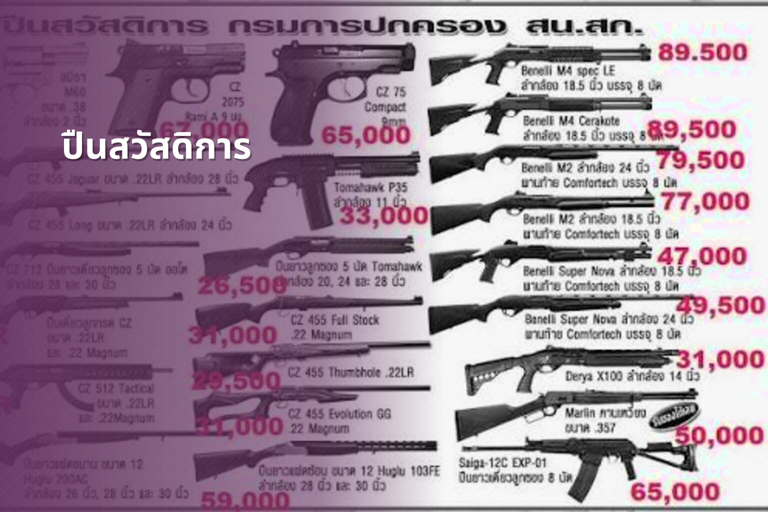 ปืนสวัสดิการ - government benefits