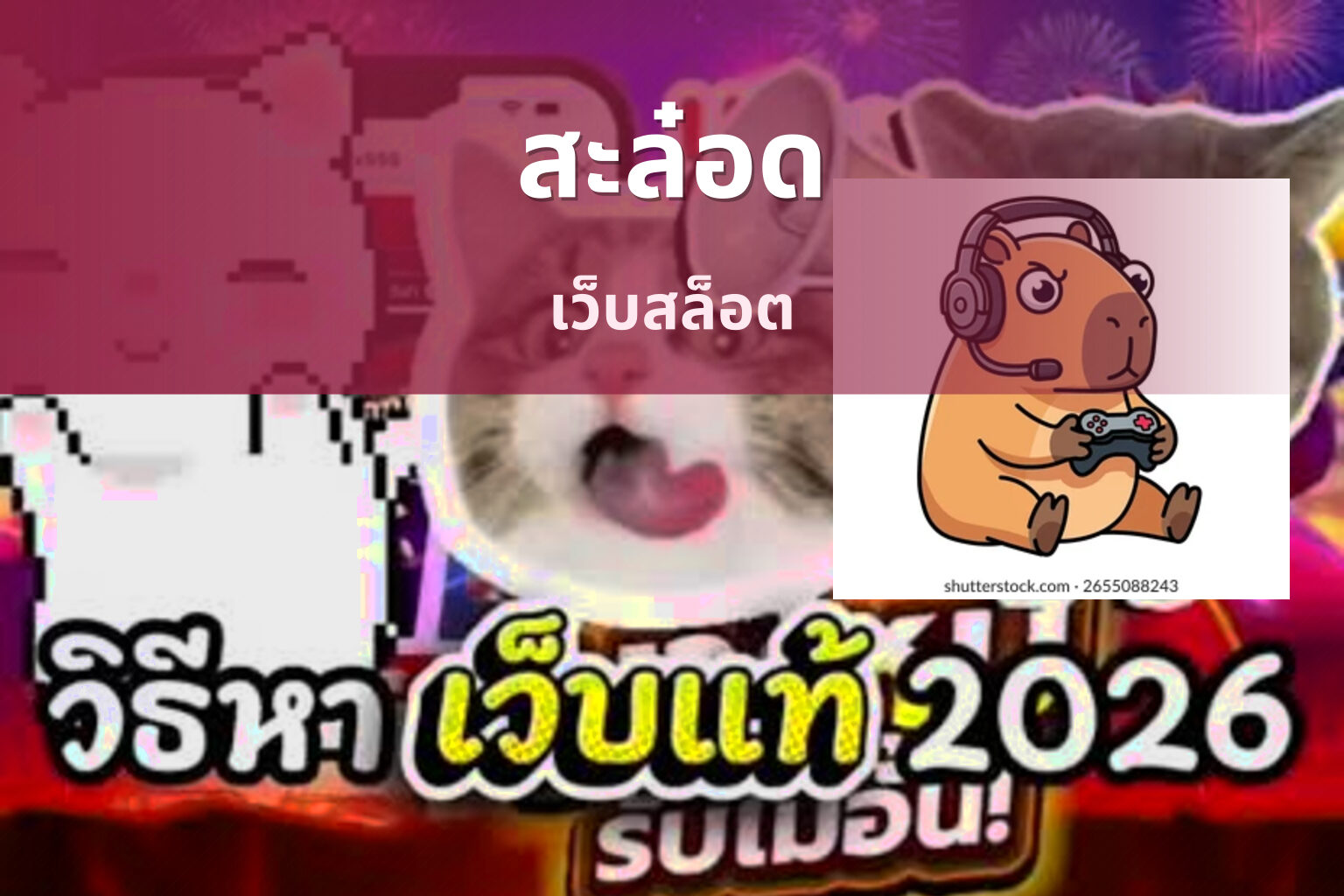 สะล๋อด เว็บสล็อต