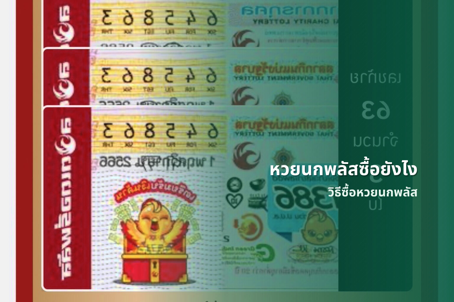 หวยนกพลัสซื้อยังไง วิธีซื้อหวยนกพลัส