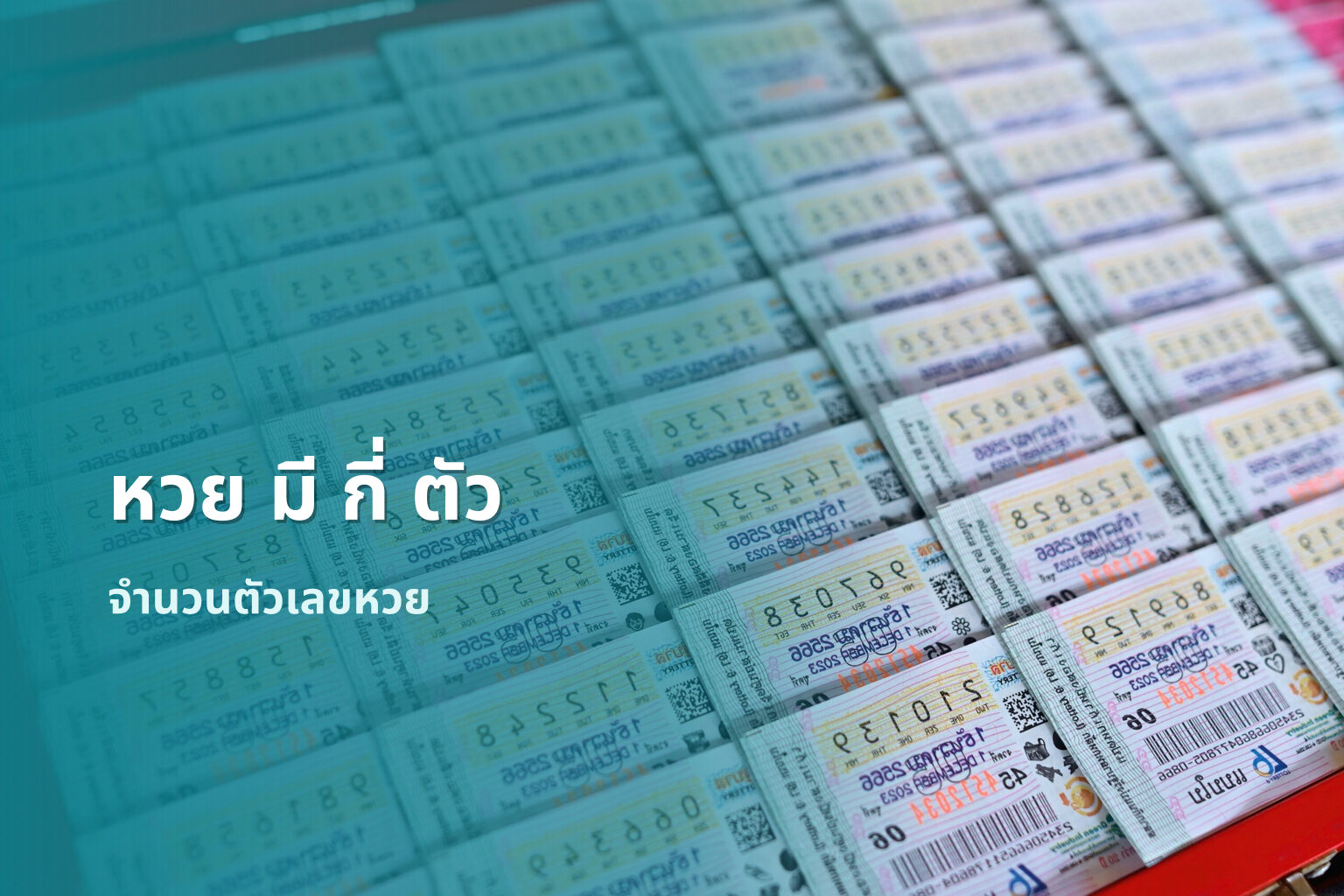หวย มี กี่ ตัว - หวย
