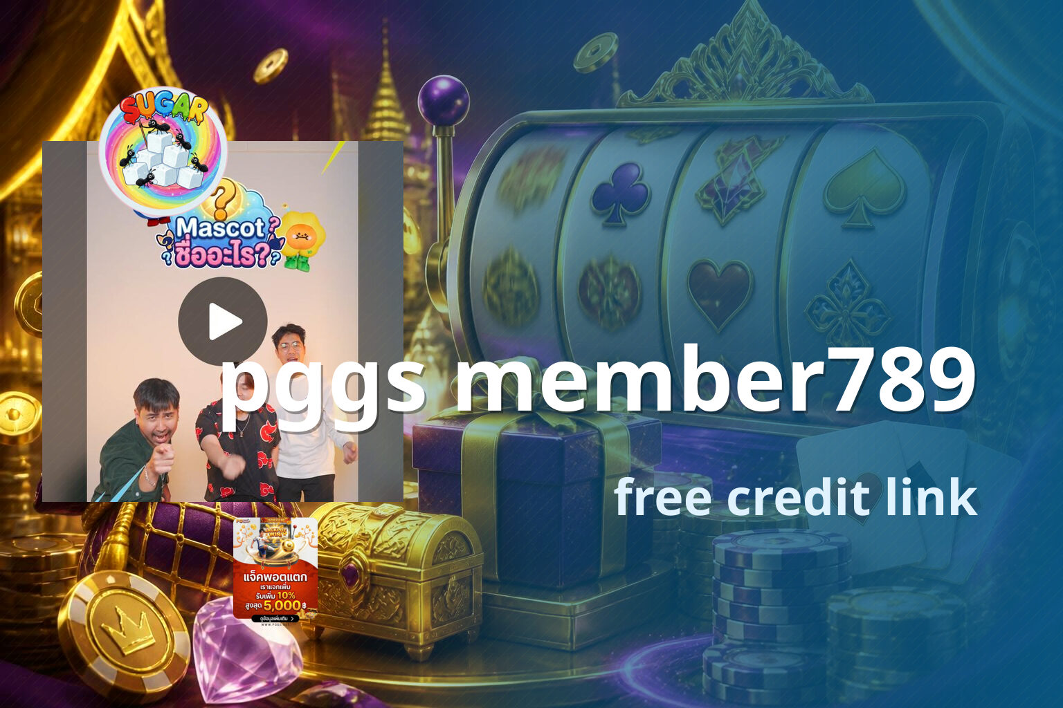 pggs member789 - gaming account