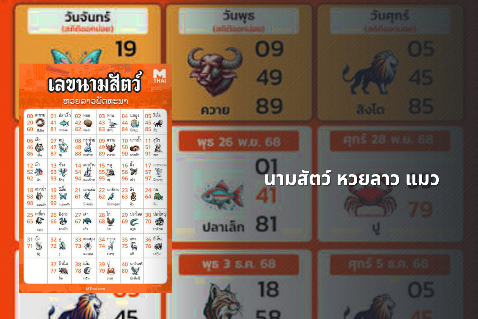 นามสัตว์ หวยลาว แมว - หวยลาว