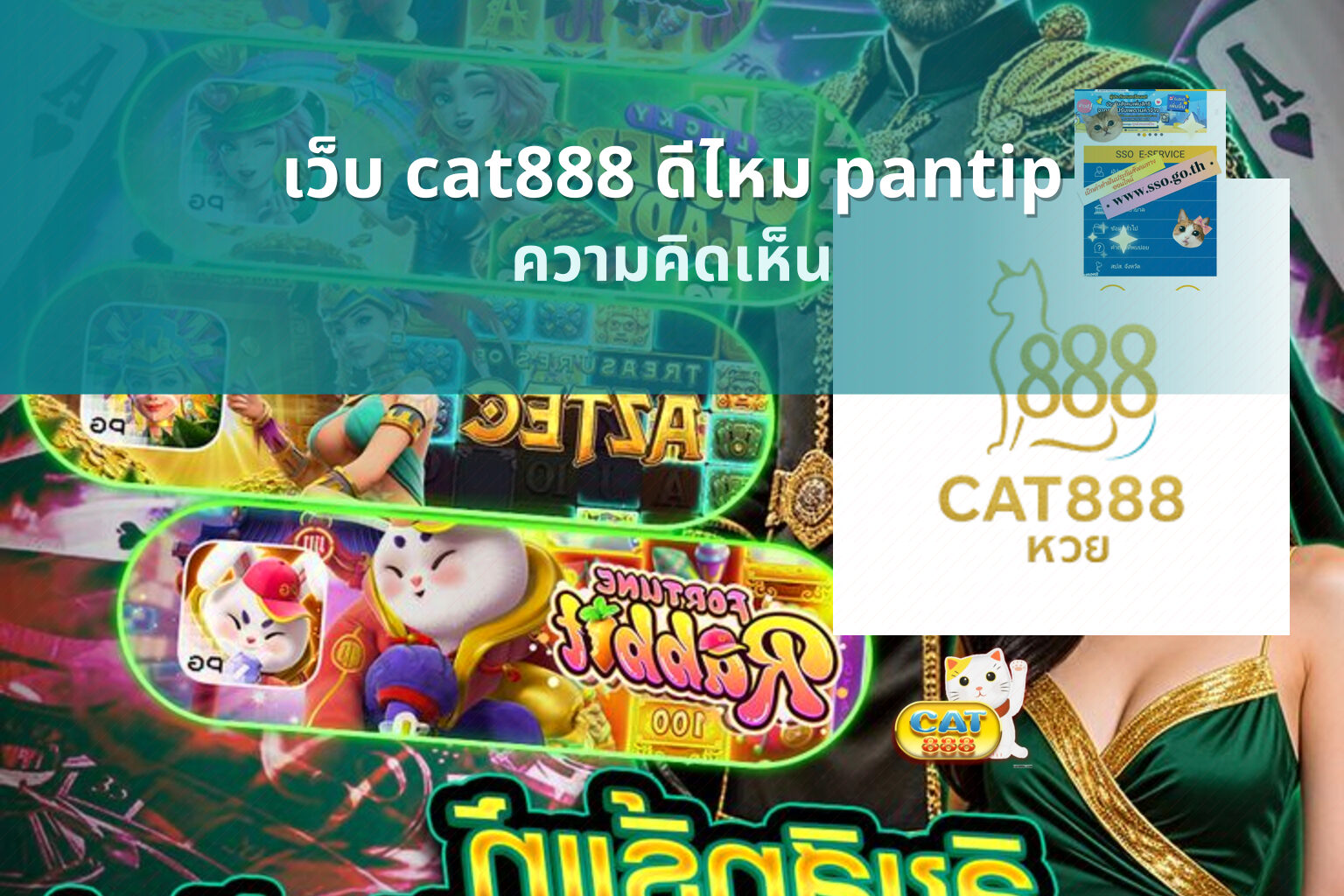 เว็บ cat888 ดีไหม pantip ความคิดเห็น