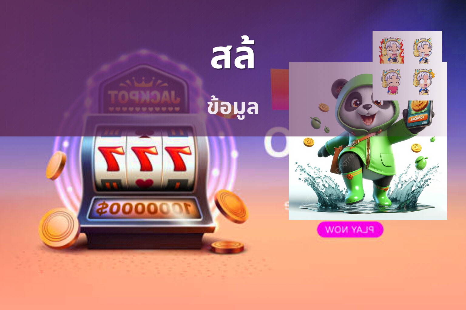 สล้ ข้อมูล