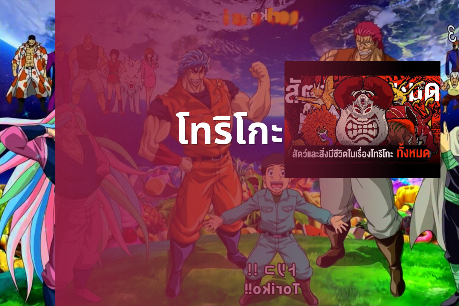 โทริโกะ - anime series