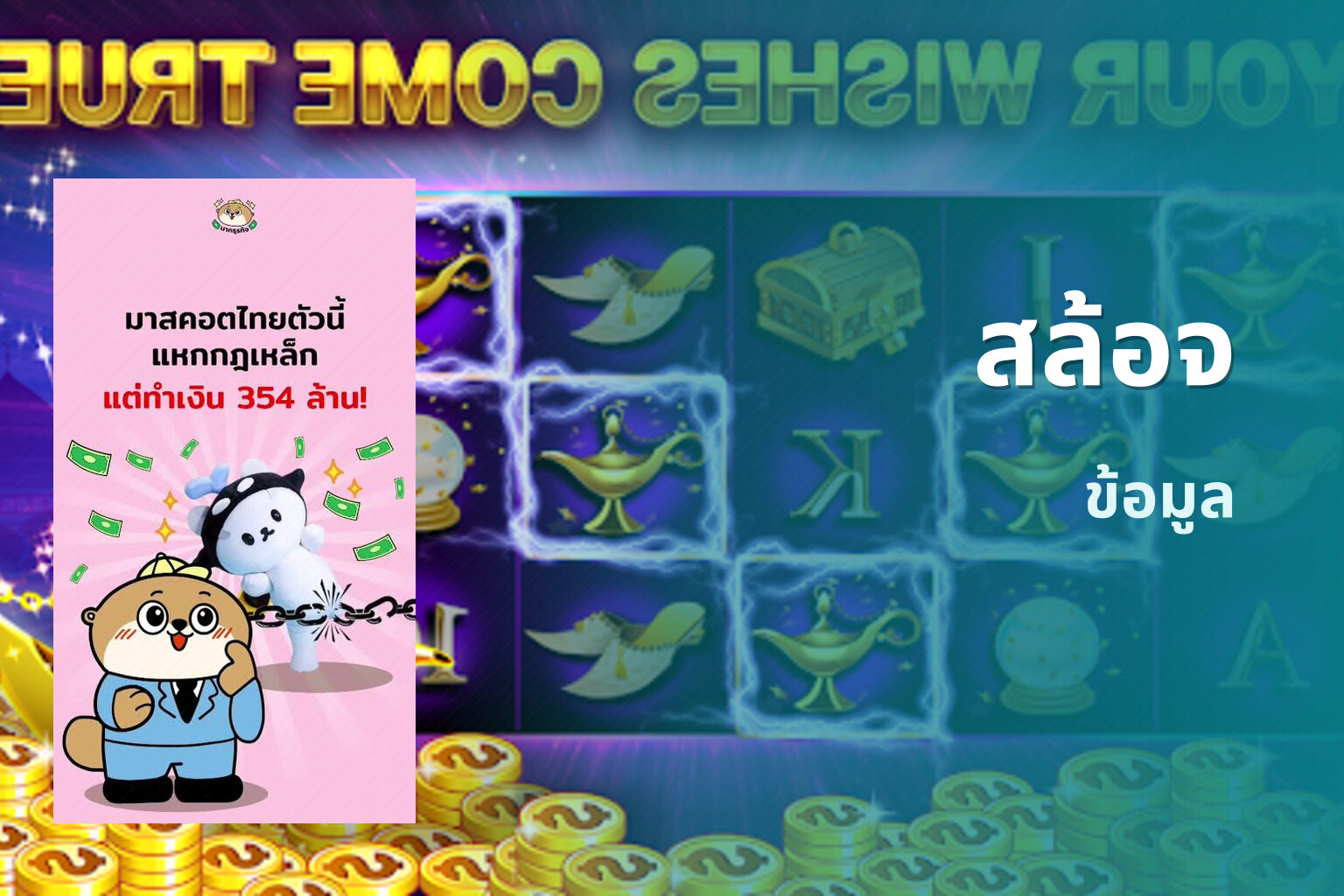 สล้อจ ข้อมูล