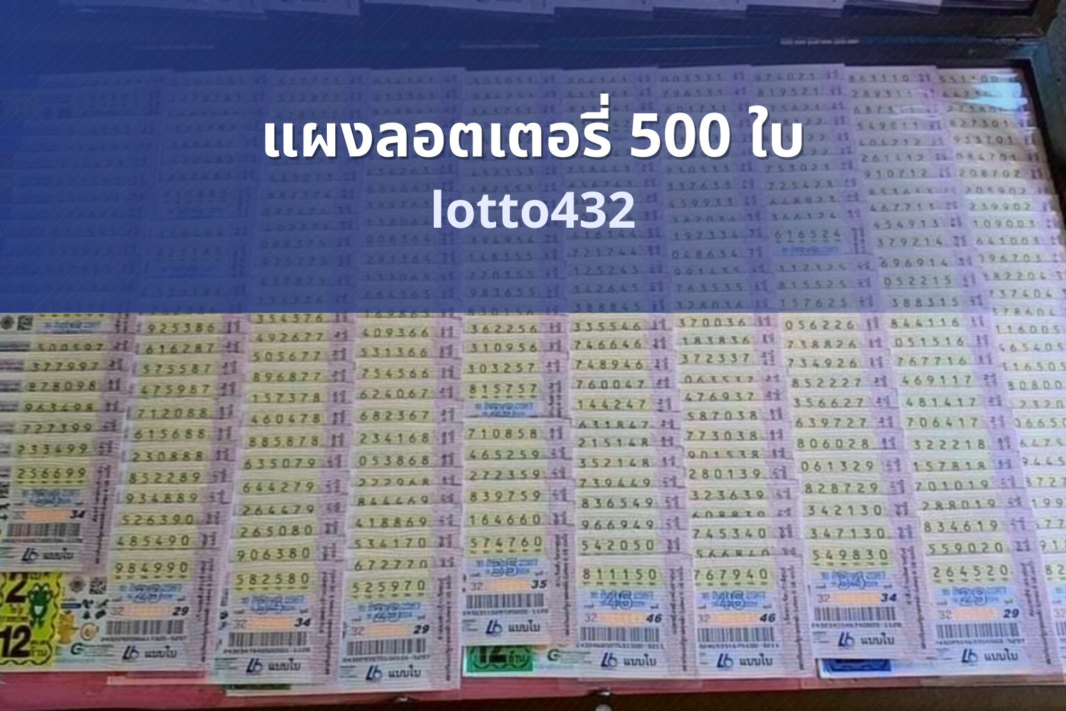 แผงลอตเตอรี่ 500 ใบ lotto432
