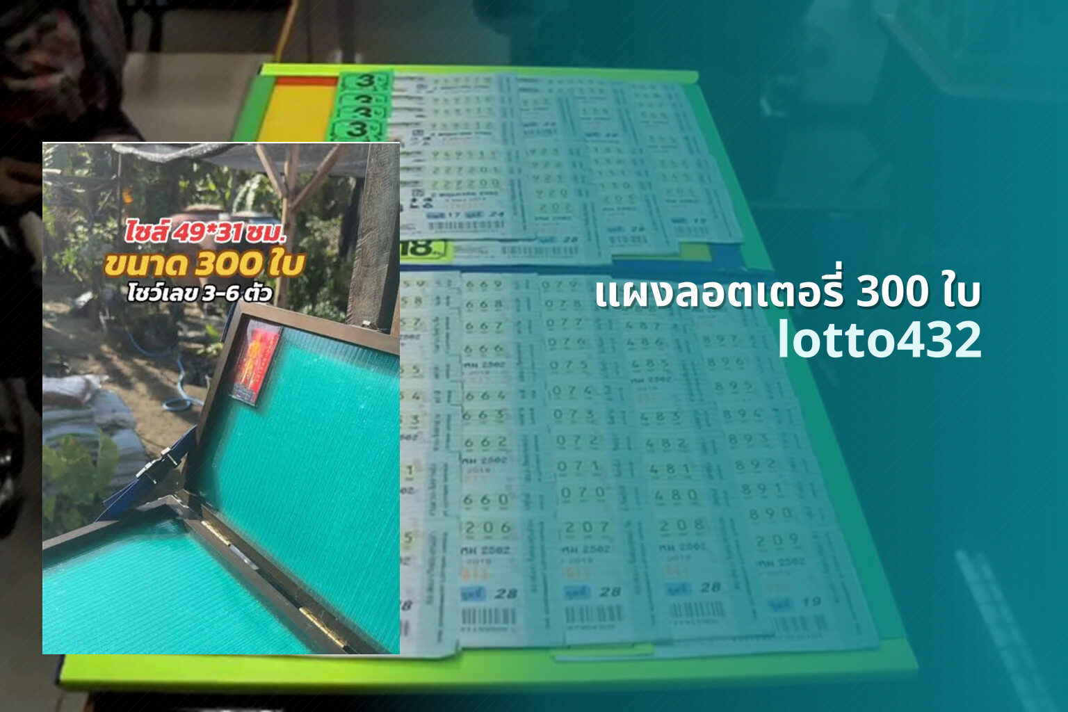 แผงลอตเตอรี่ 300 ใบ lotto432