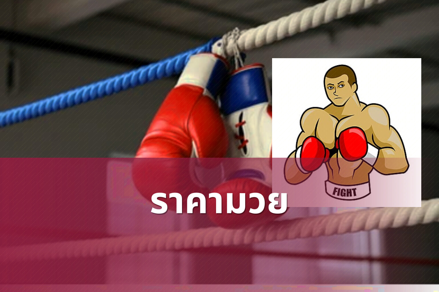 ราคามวย - boxing betting odds
