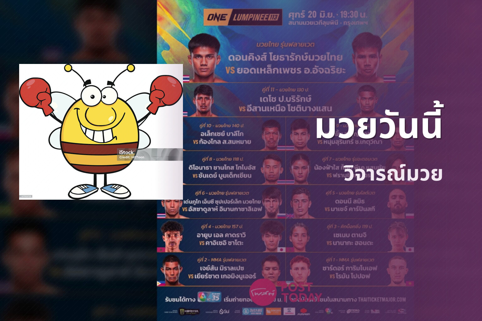 มวยวันนี้ วิจารณ์มวย