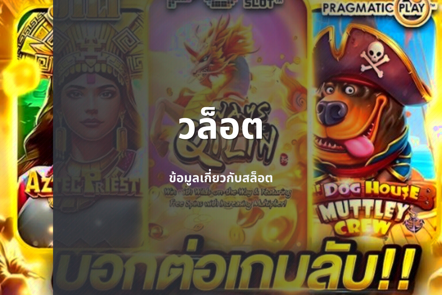 วล็อต ข้อมูลเกี่ยวกับสล็อต