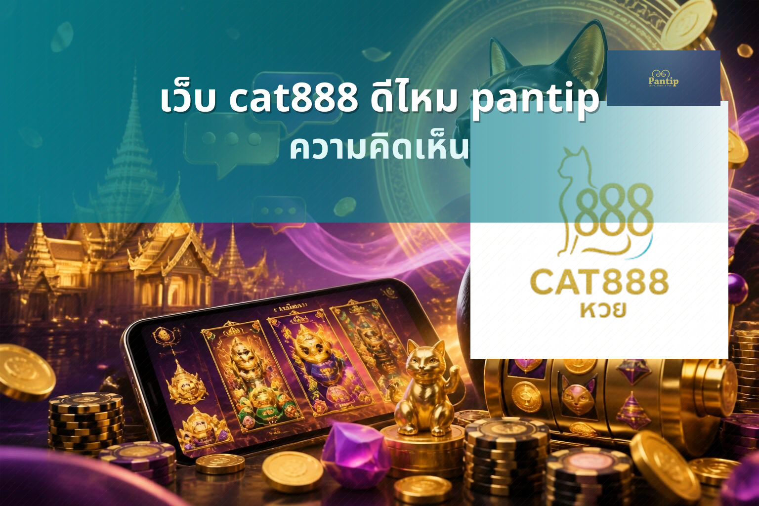 เว็บ cat888 ดีไหม pantip - cat888 review