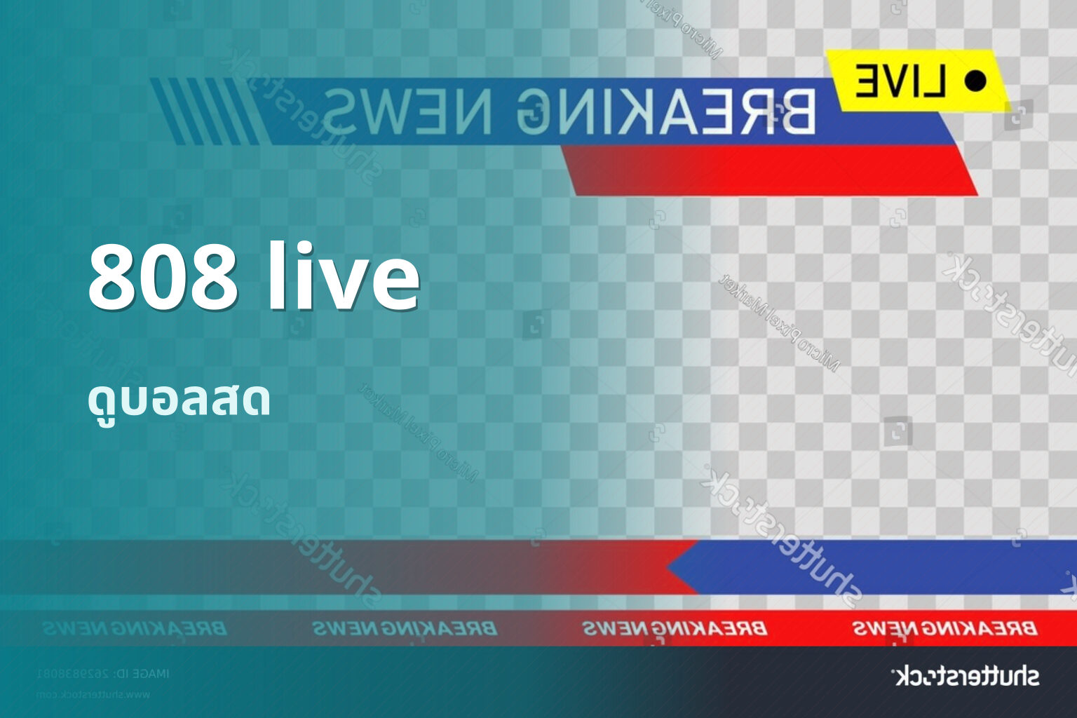 808 live - live streaming service