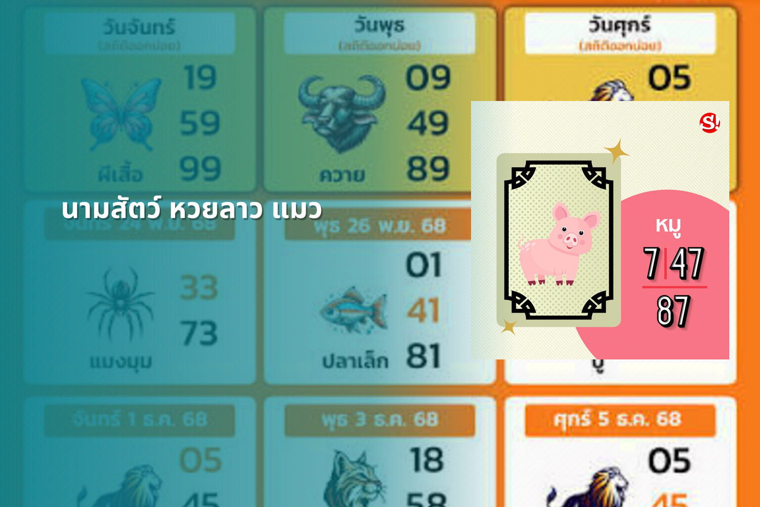 นามสัตว์ หวยลาว แมว - หวยลาว