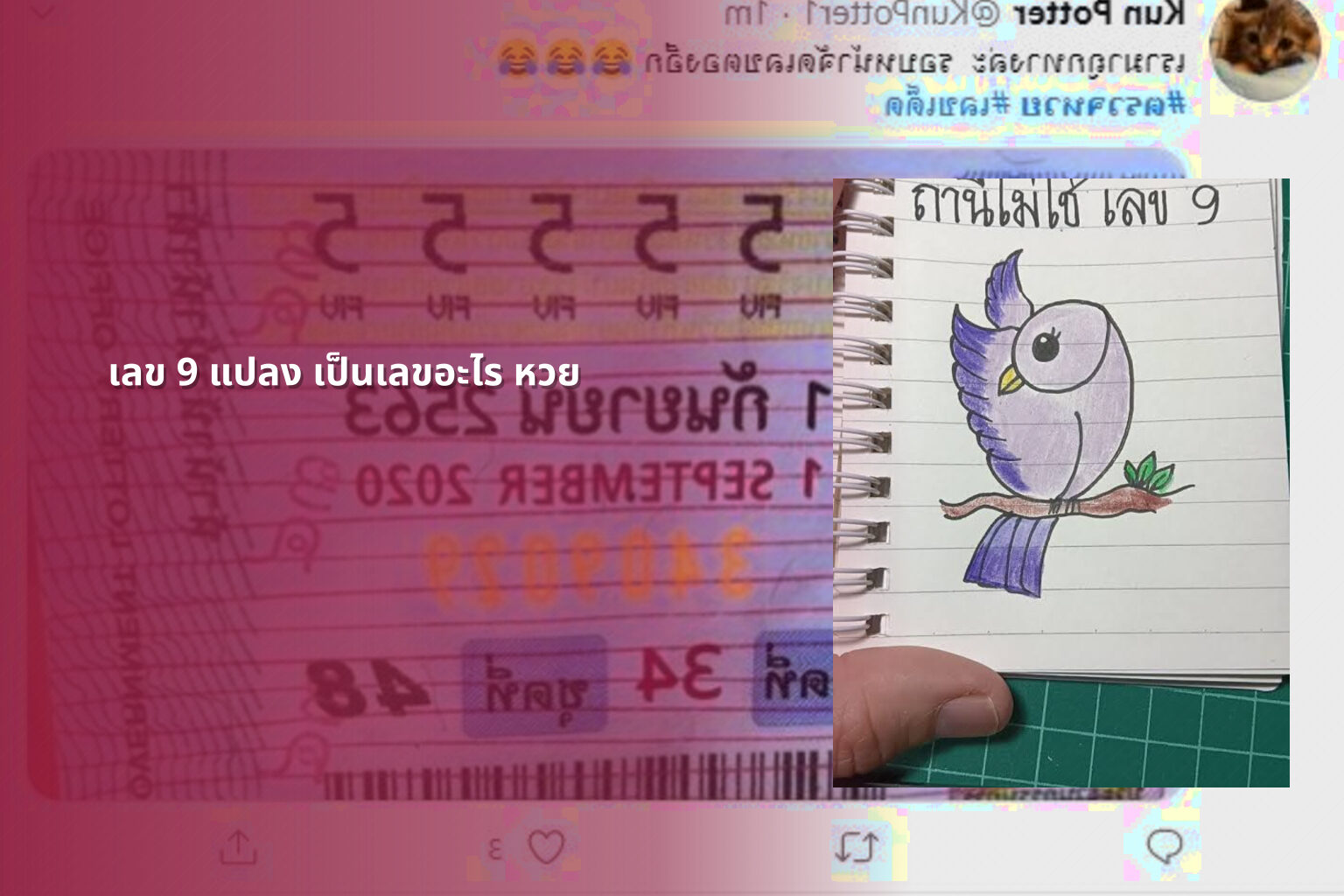 เลข 9 แปลง เป็นเลขอะไร หวย - lottery number conversion