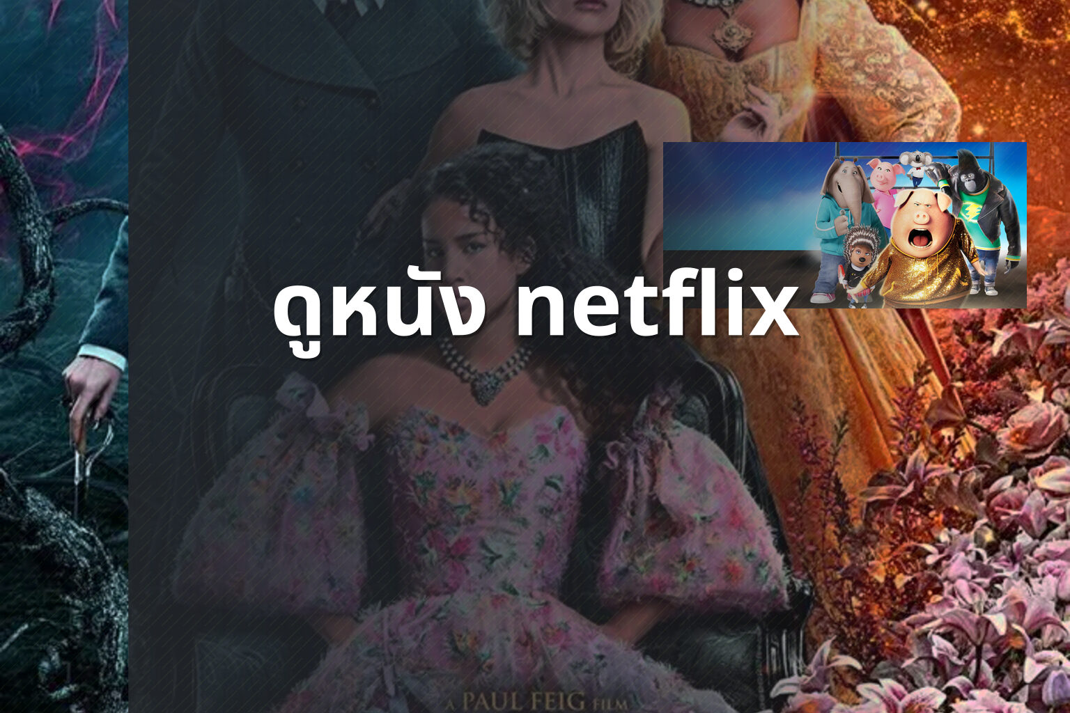 ดูหนัง netflix - streaming movies