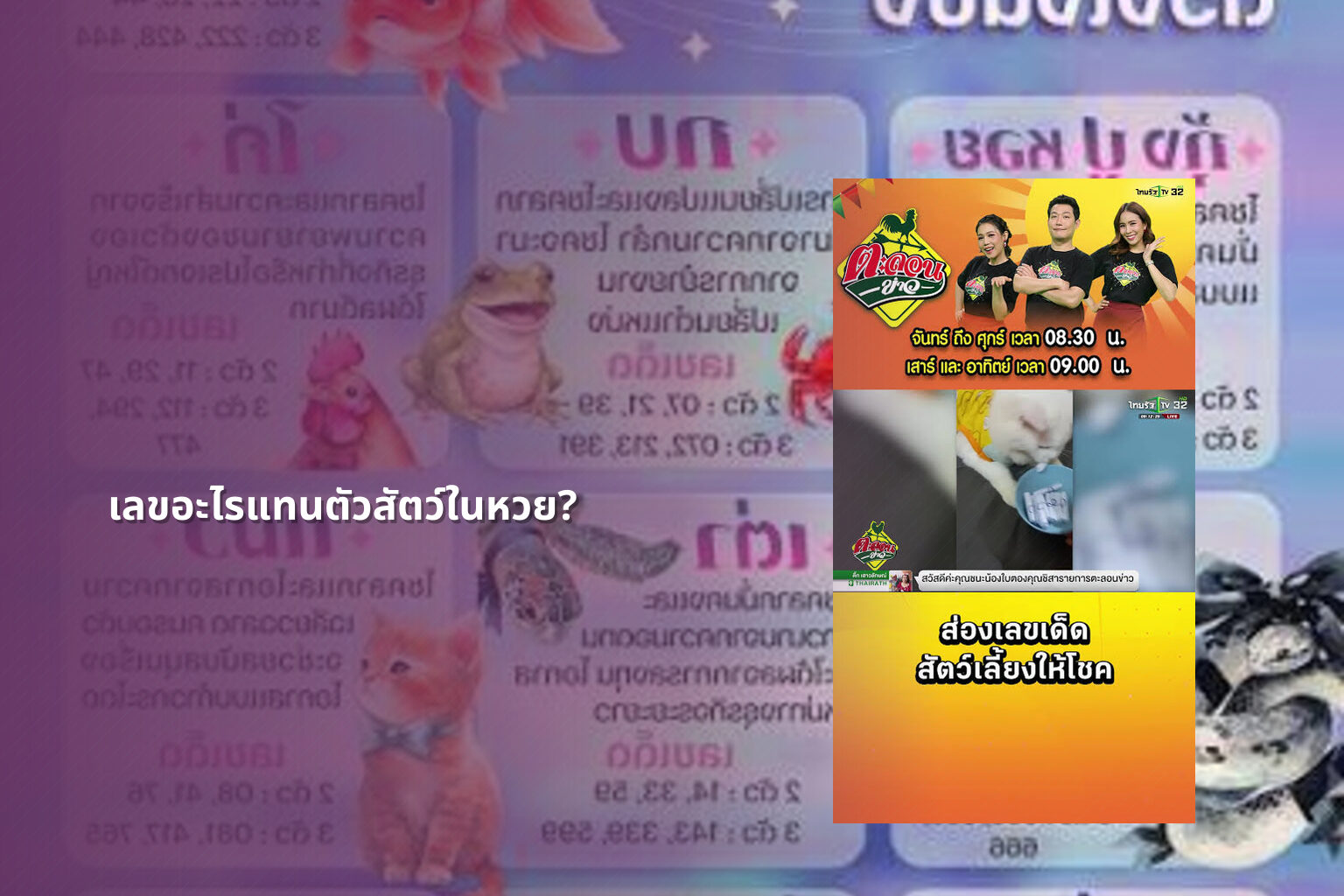 เลขอะไรแทนตัวสัตว์ในหวย? - lottery animal numbers