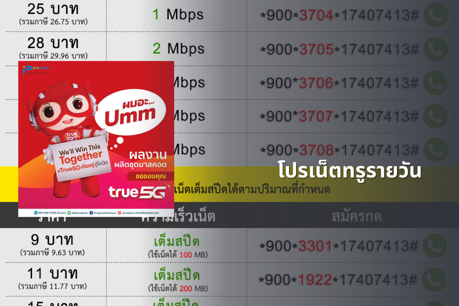 โปรเน็ตทรูรายวัน - internet services