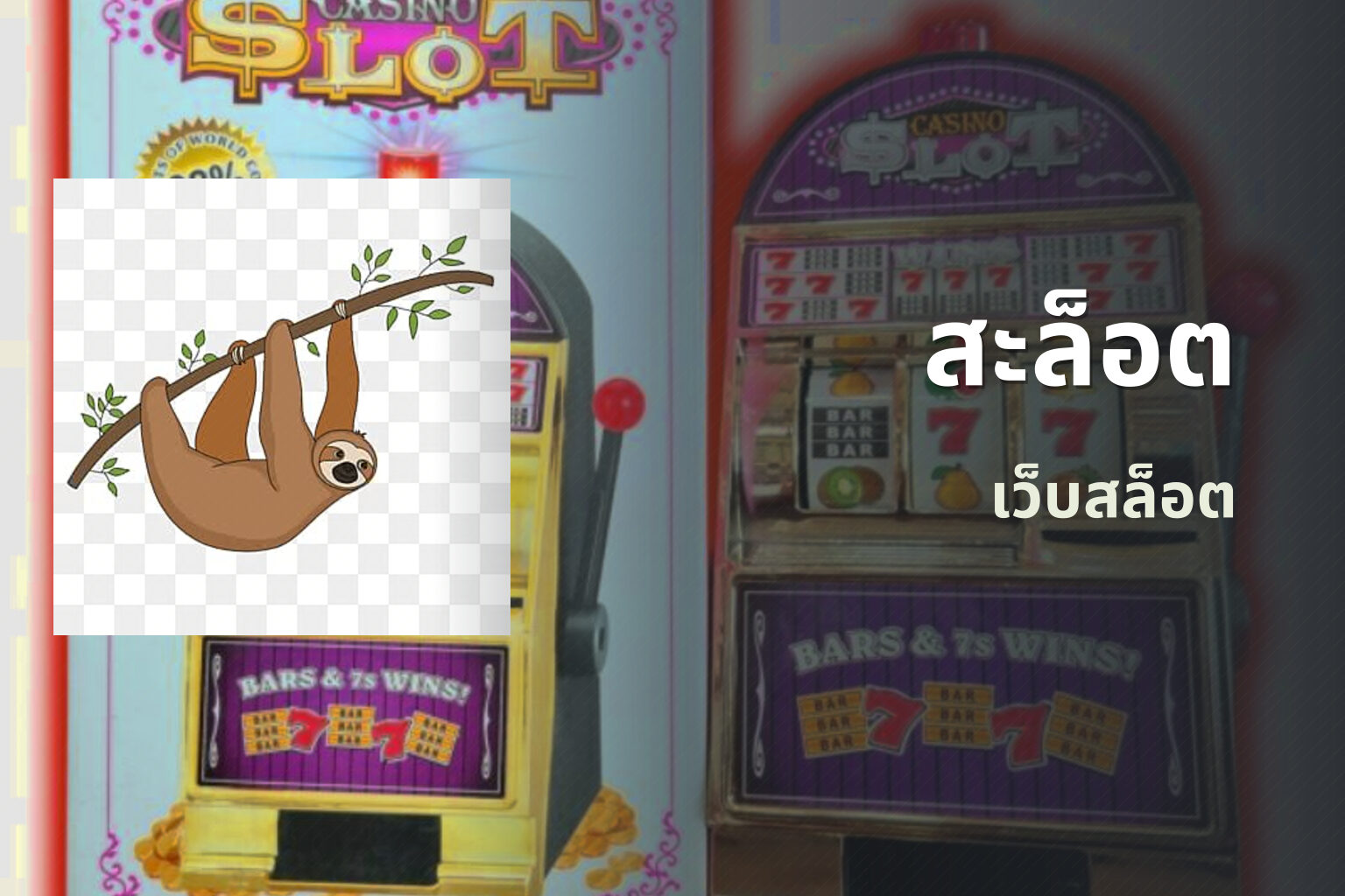 สะล็อต เว็บสล็อต