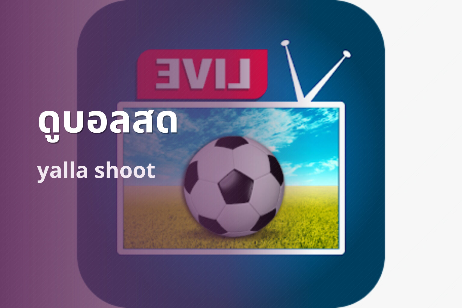 ดูบอลสด yalla shoot