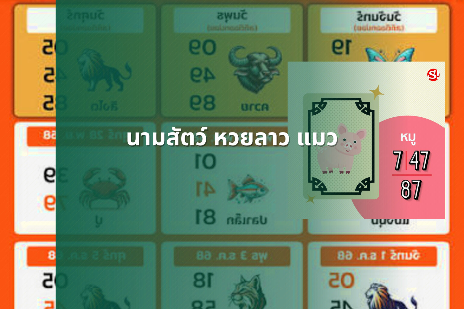 นามสัตว์ หวยลาว แมว - หวยลาว