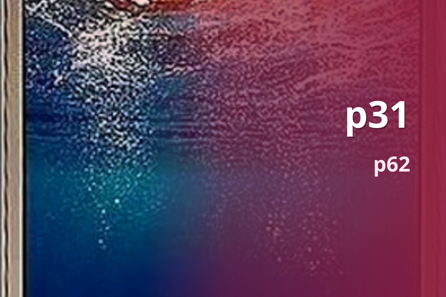 p31 p62