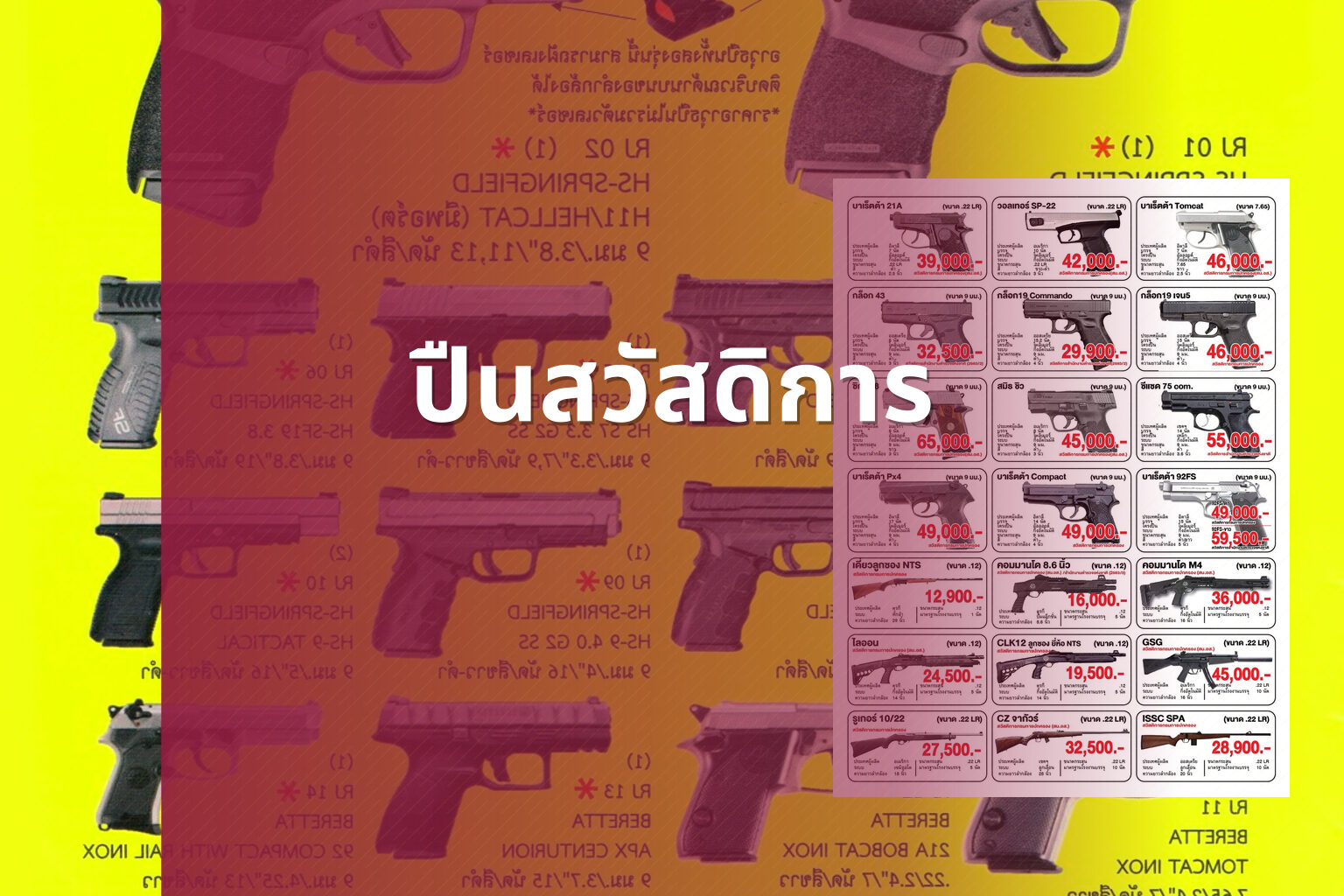 ปืนสวัสดิการ - government benefits