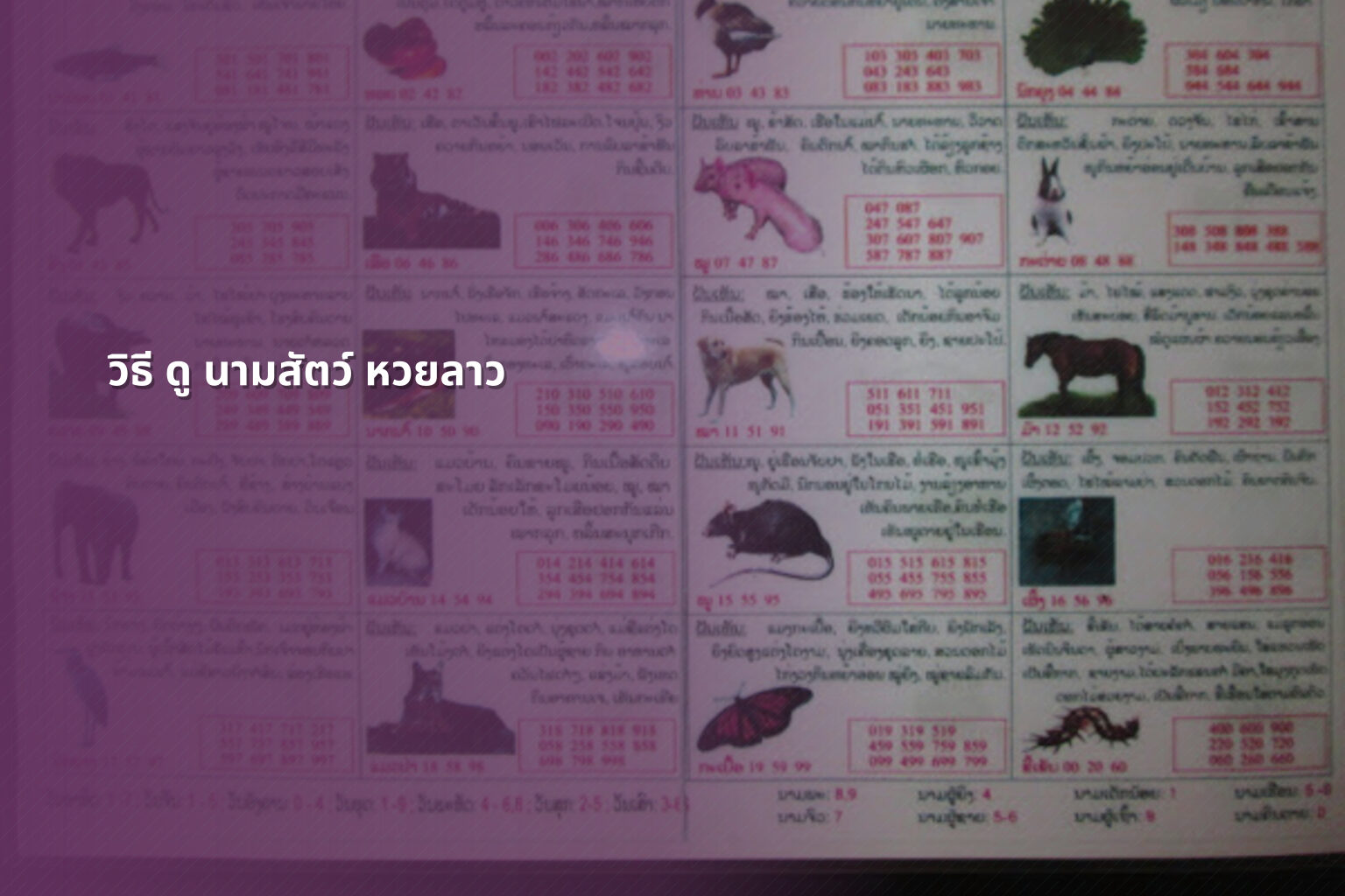 วิธี ดู นามสัตว์ หวยลาว - หวยลาว